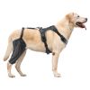 Dog Knee Brace for Right Leg Adjustable ACL Dog Leg Support Brace Pain Relief