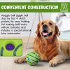 Giggle Dog Ball; 5.5" in Diameter; Green Interactive Dog Toy Sound 12 oz