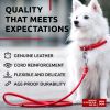 Rolled Leather Dog Leash 4Ft x 0.3 Heavy Duty Leather Puppy Leash for Outdoor Walking Running Training Strong Dog Leashes