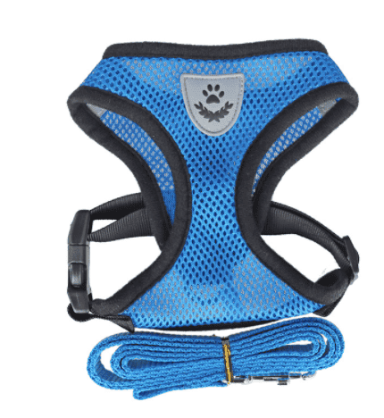 Fashionable High-end Multi-color Dog Harness (Option: Light blue-XL)