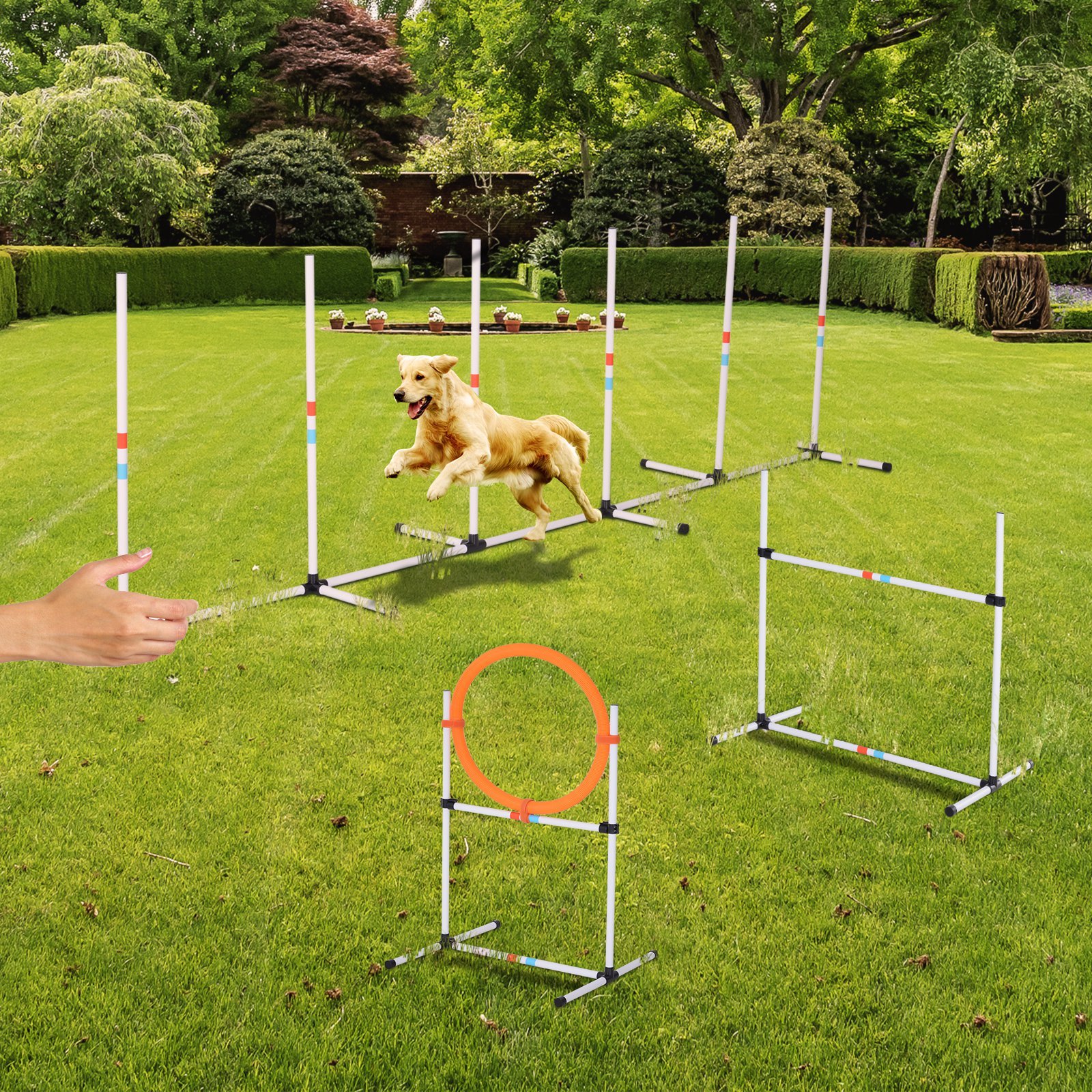 Portable Pet Agility Pet Training Set Dog Obstacle Exercise Adjustable Jump Ring High Jumper w/ Carry Bag (Option: White-10x10x10 mm)