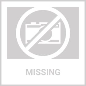 3280FT Dog Training Collar IP67 Waterproof Pet Beep Vibration Electric Shock Collar (Option: Black)