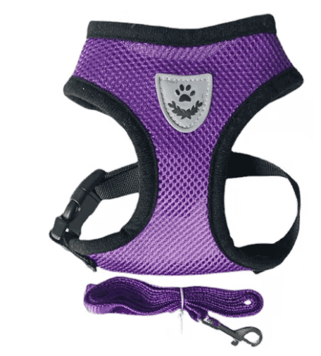 Fashionable High-end Multi-color Dog Harness (Option: Purple-L)