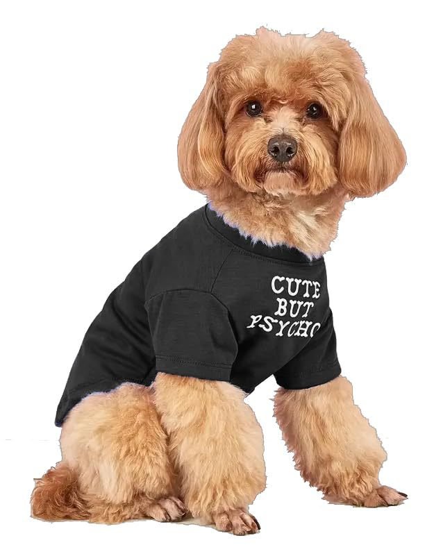 Pet Clothes Round Neck T-shirt (Option: Black-S)