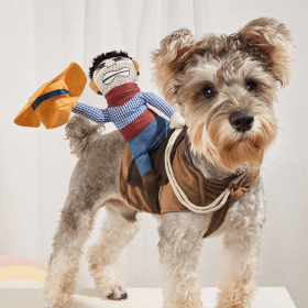 Cowboy Rider Pet Costume, Funny Dog Costume For Small Medium Dogs, Pet Clothes (Color: Mixed Color, size: S)