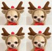 Christmas Dog Winter Warm Clothing Cute Plush Coat Hoodies Pet Costume Jacket For Puppy Small Dog Clothing