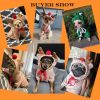 Christmas Dog Winter Warm Clothing Cute Plush Coat Hoodies Pet Costume Jacket For Puppy Small Dog Clothing