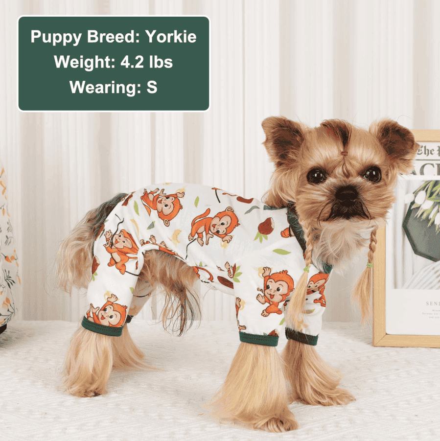 Dog Pajamas Pjs Spring Summer Dog Clothes For Small Dogs Girl Boy, Soft Stretchy Tiny Chihuahua Yorkie Puppy Clothes Doggie Onesies (Option: S)