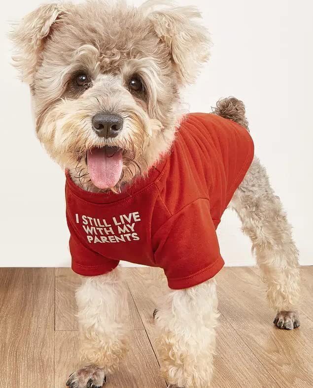 Pet Clothes Round Neck T-shirt (Option: Red-L)