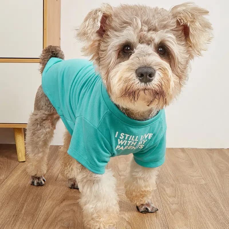 Pet Clothes Round Neck T-shirt (Option: Blue-L)